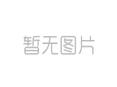 17A-30-48621 軛組件 適用于D155A機型上