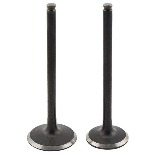 OEM Exhaust valve 2881811 for QSK60